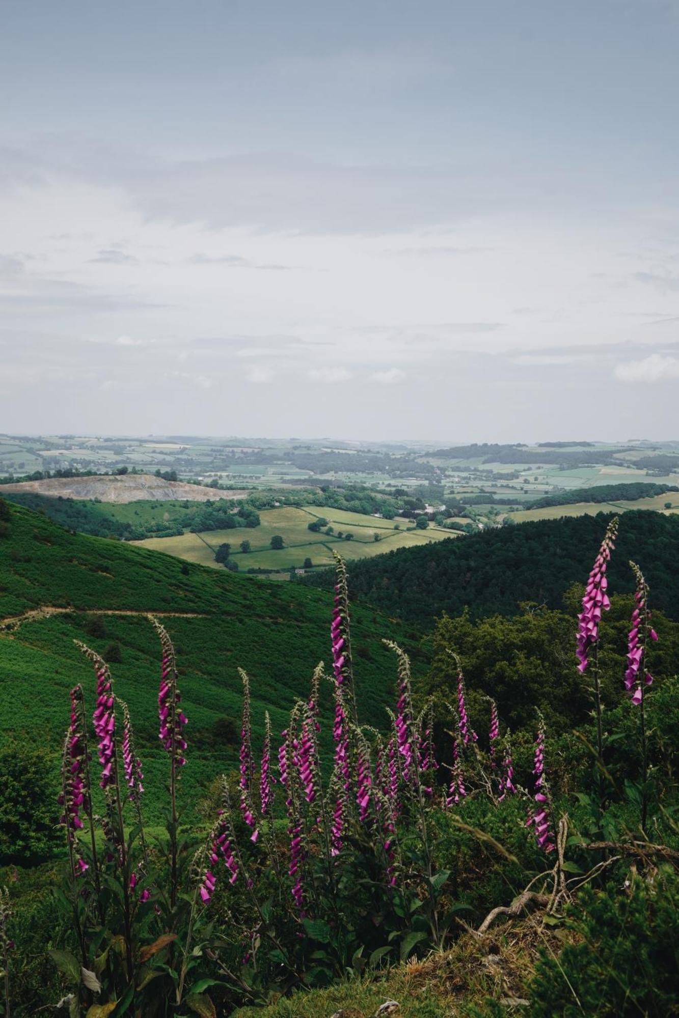 Two Unique Cabins Wrapped In Beautiful Welsh Scenery Presteigne Buitenkant foto