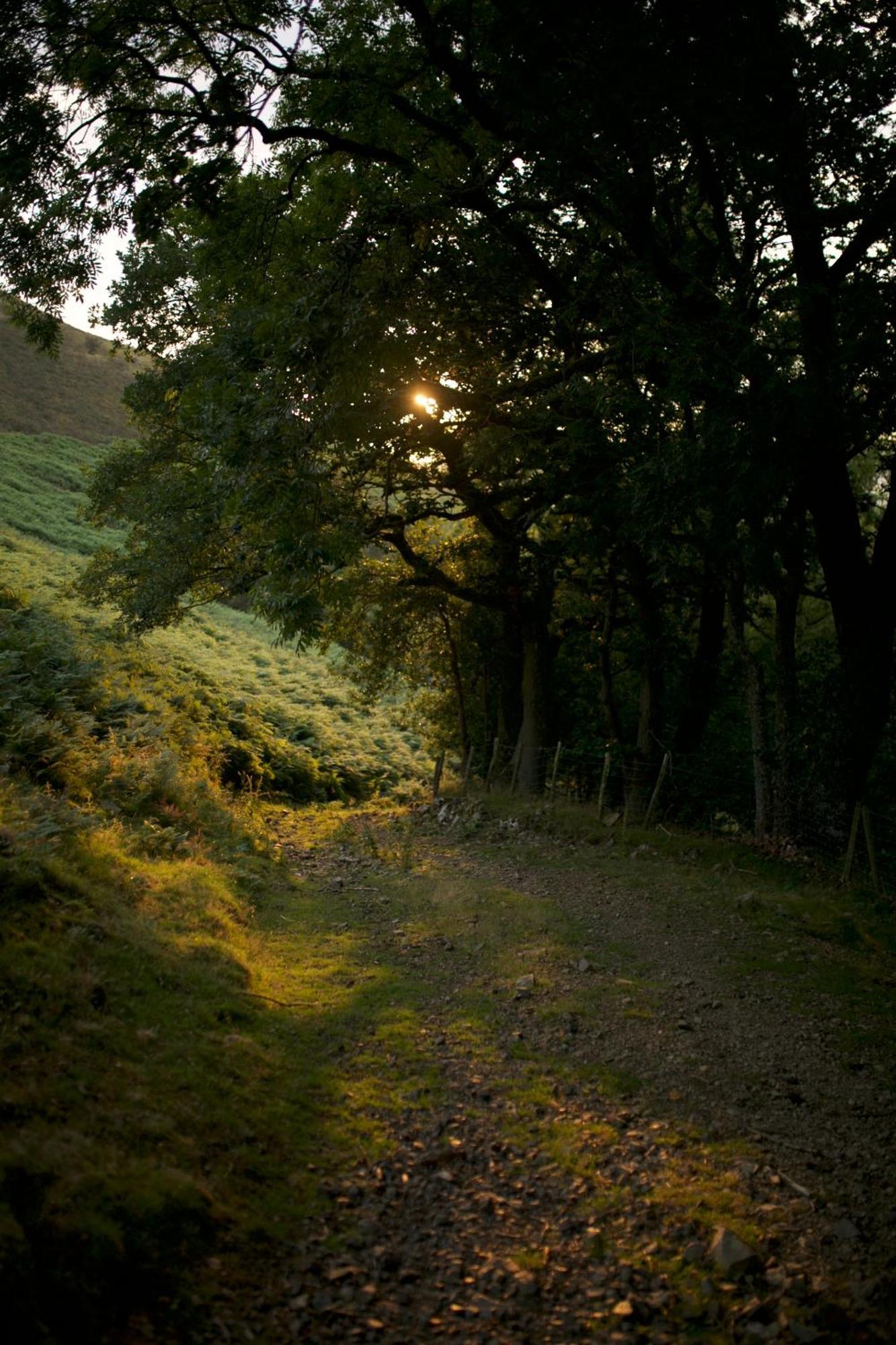 Two Unique Cabins Wrapped In Beautiful Welsh Scenery Presteigne Buitenkant foto
